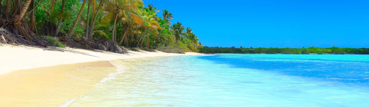 Costa Fascinosa: PTP - PTP - PTP06A0A