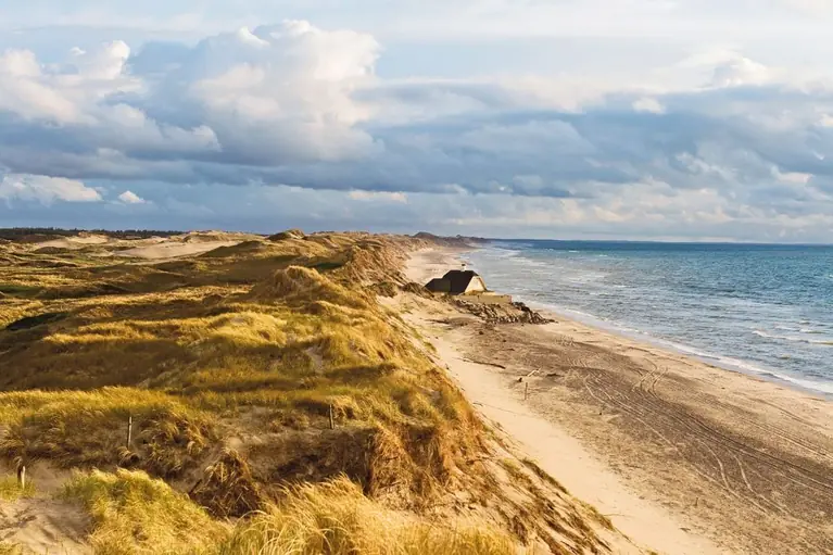SKAGEN (DANIMARCA)            