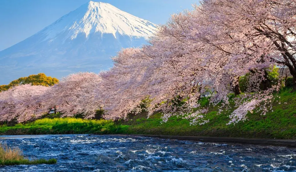 Shimizu, Japan
