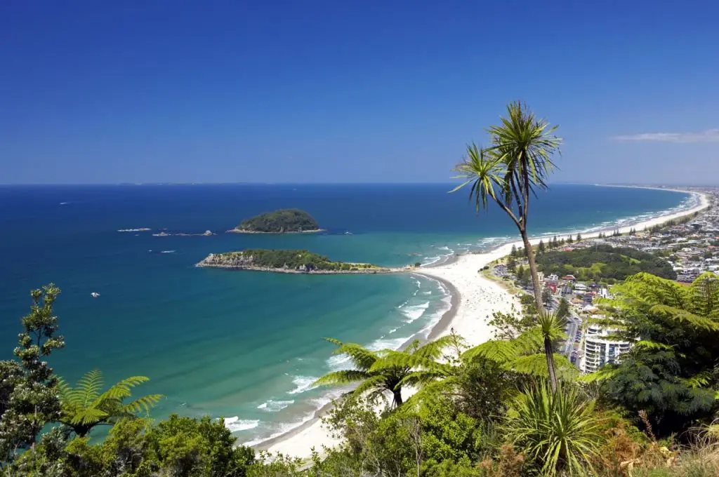 Tauranga 