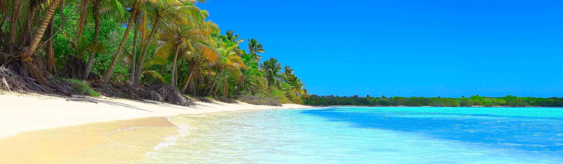 MSC WORLD EUROPA: MSC WORLD EUROPA: Pointe-a-Pitre Guadeloupe - Pointe-a-Pitre Guadeloupe - UZFL