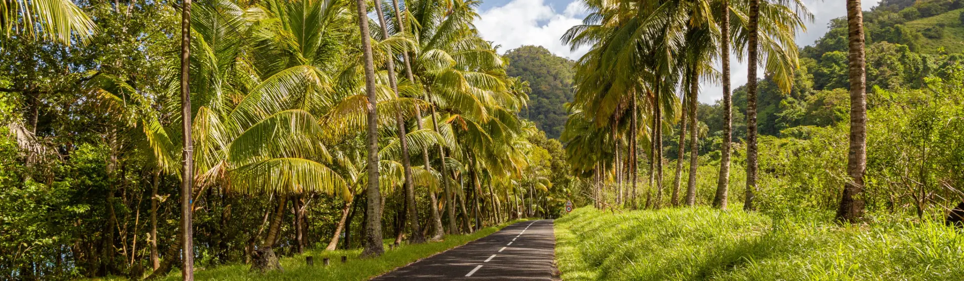 MSC WORLD EUROPA: MSC WORLD EUROPA: Fort de France Martinique - Fort de France Martinique - UZFY