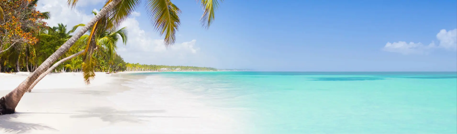 MSC WORLD EUROPA: MSC WORLD EUROPA: Bridgetown Barbados - Bridgetown Barbados - UZGE