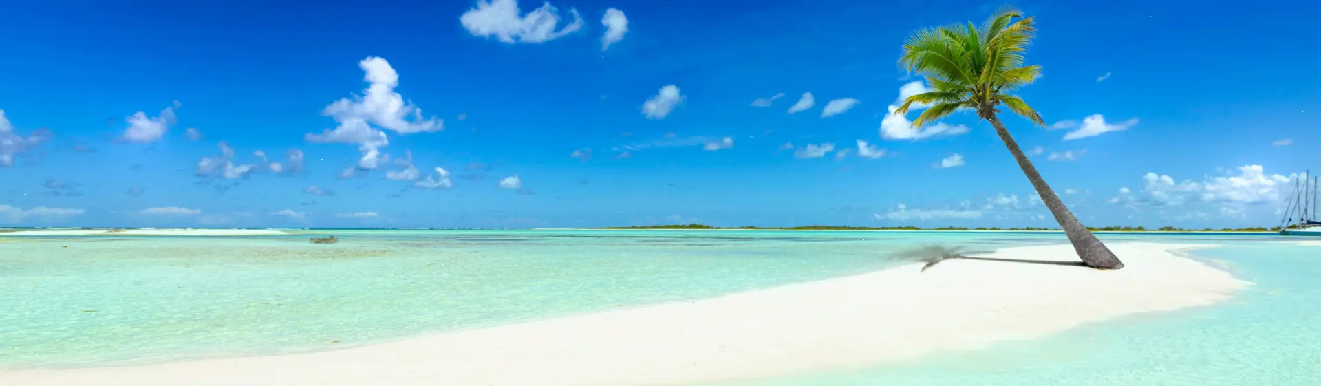 MSC WORLD AMERICA: MSC World America: cruise from Miami to Mexico and the Bahamas