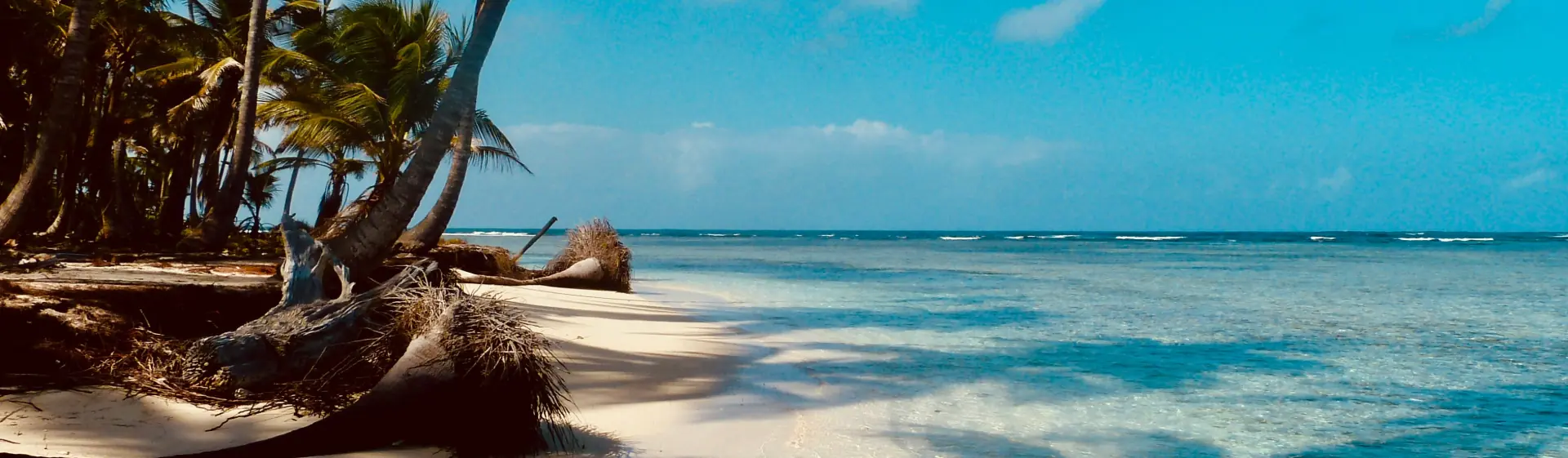MSC SEASHORE: MSC SEASHORE: PortCanaveral United States - PortCanaveral United States - UX3S