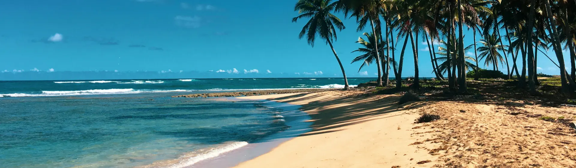 MSC SEASHORE: MSC SEASHORE: Krstarenje od Orlanda do Dominikanske Republike i Bahama